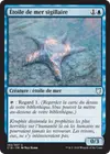 Product image for Étoile de mer sigillaire