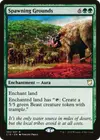 Product image for Spawning Grounds