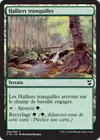 Product image for Halliers tranquilles