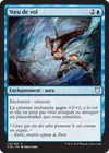 Product image for Vœu de vol
