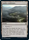 Product image for Landes cendreuses