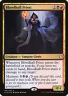Product image for Bloodhall Priest