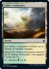 Product image for Sables verdoyants