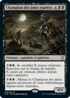 Product image for Champion des âmes égarées