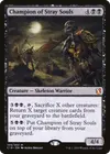 Product image for Champion of Stray Souls