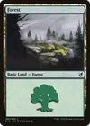 Product image for Forest