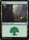 Product image for Forest