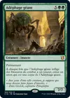 Product image for Adéphage géant