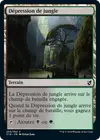 Product image for Dépression de jungle