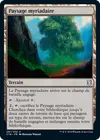 Product image for Paysage myriadaire