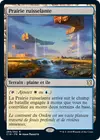 Product image for Prairie ruisselante