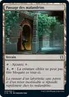 Product image for Passage des malandrins