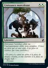 Product image for Croissance morceleuse