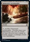 Product image for Immensité terramorphe