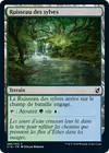 Product image for Ruisseau des sylves