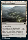 Product image for Landes cendreuses