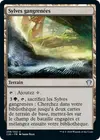 Product image for Sylves gangrenées