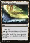 Product image for Blighted Woodland
