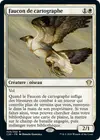 Product image for Faucon de cartographe