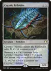 Product image for Cryptic Trilobite