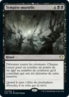 Product image for Tempête mortelle