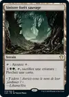 Product image for Sinistre forêt sauvage