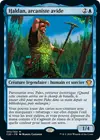 Product image for Haldan, arcaniste avide