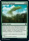 Product image for Portée du kodama
