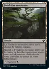 Product image for Fondrière mortuaire