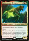 Product image for Pako, Arcane Retriever