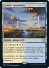 Product image for Prairie ruisselante