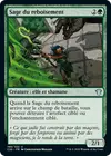 Product image for Sage du reboisement