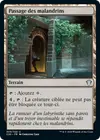 Product image for Passage des malandrins