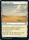 Product image for Steppes retirées