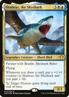 Product image for Shabraz, the Skyshark
