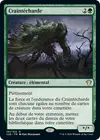 Product image for Craintécharde