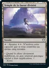 Product image for Temple de la fausse divinité