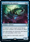 Product image for Barracuda des marées