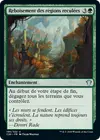 Product image for Reboisement des régions reculées
