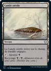 Product image for Lande stérile