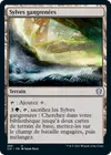 Product image for Sylves gangrenées