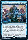 Product image for Perspicacité du commandant