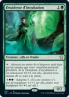 Product image for Druidesse d'incubation
