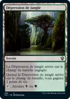 Product image for Dépression de jungle