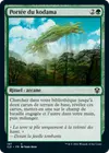 Product image for Portée du kodama
