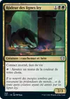 Product image for Rôdeur des lignes ley