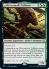Product image for Arbrisseau de Colfénor