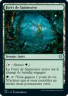 Product image for Forêt de Suintesève