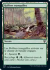 Product image for Halliers tranquilles