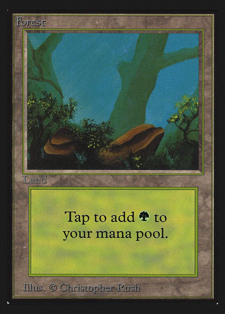 Forest — Collectors' Edition — Magic: The Gathering